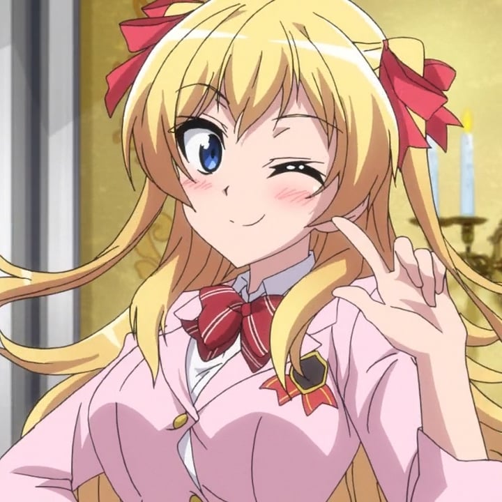 Hikari Sakurada