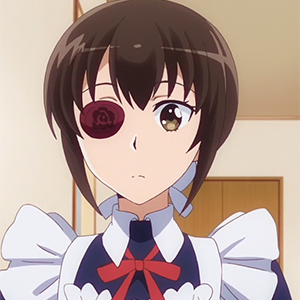Tsubame Kamoi