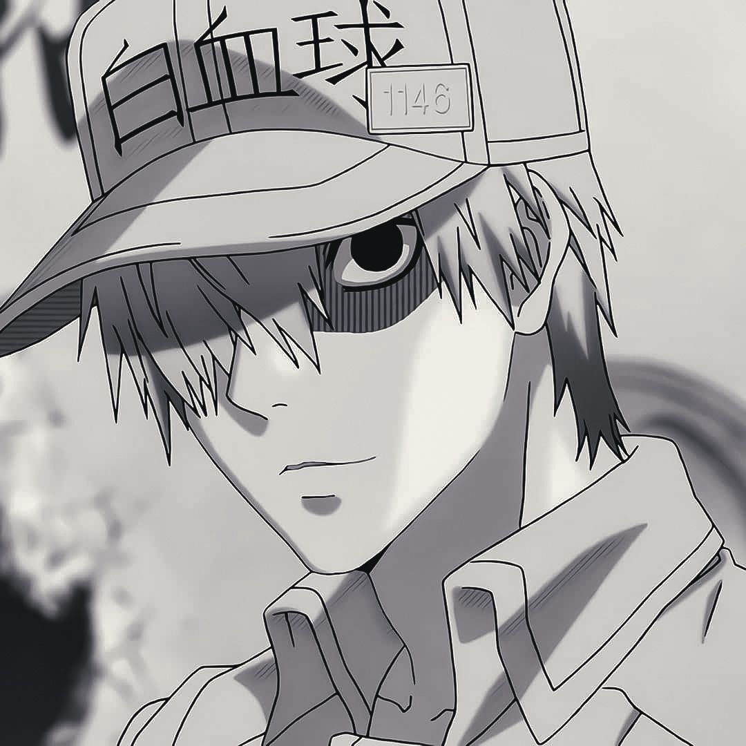 Display picture for U-1146