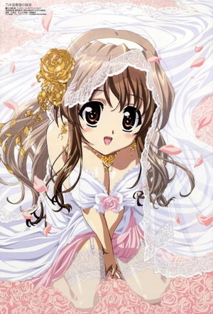 Nogizaka Haruka no Himitsu