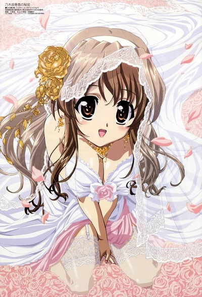 Image for the work Nogizaka Haruka no Himitsu