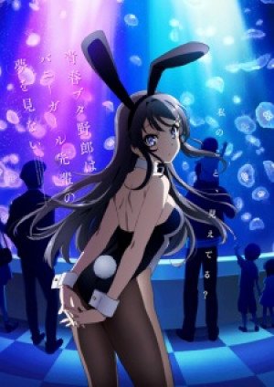 Image for the work Rascal Does Not Dream of Bunny Girl Senpai