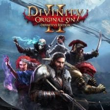 Image for the work Divinity: Original Sin 2
