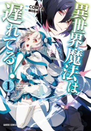 The Magic in this Other World is Too Far Behind! (Manga)