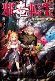 Image for the work Evil Dragon Reincarnation (Light Novel)