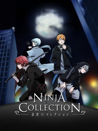 Image for the work Ninja Collection