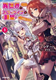 I Have a Slow Living in a Different World (I Wish) (Light Novel)