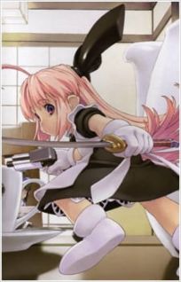Ichigeki Sacchuu!! HoiHoi-san