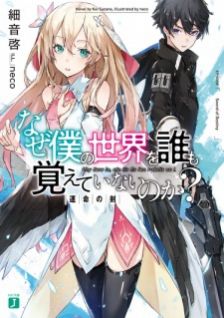 Image for the work Why Does Nobody Remember Me in This World? (Light Novel)