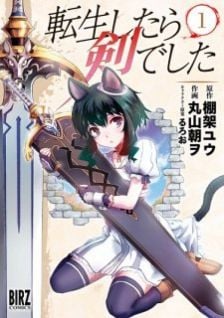 Reincarnated as a Sword (Manga)