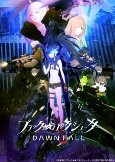Image for the work Black Rock Shooter: Dawn Fall