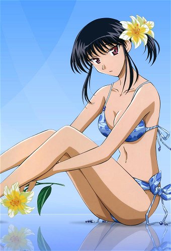 Image for the work School Rumble
