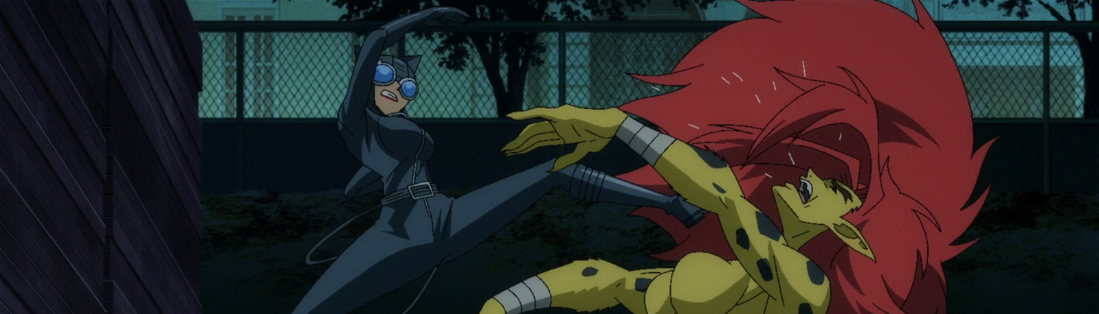 banner image