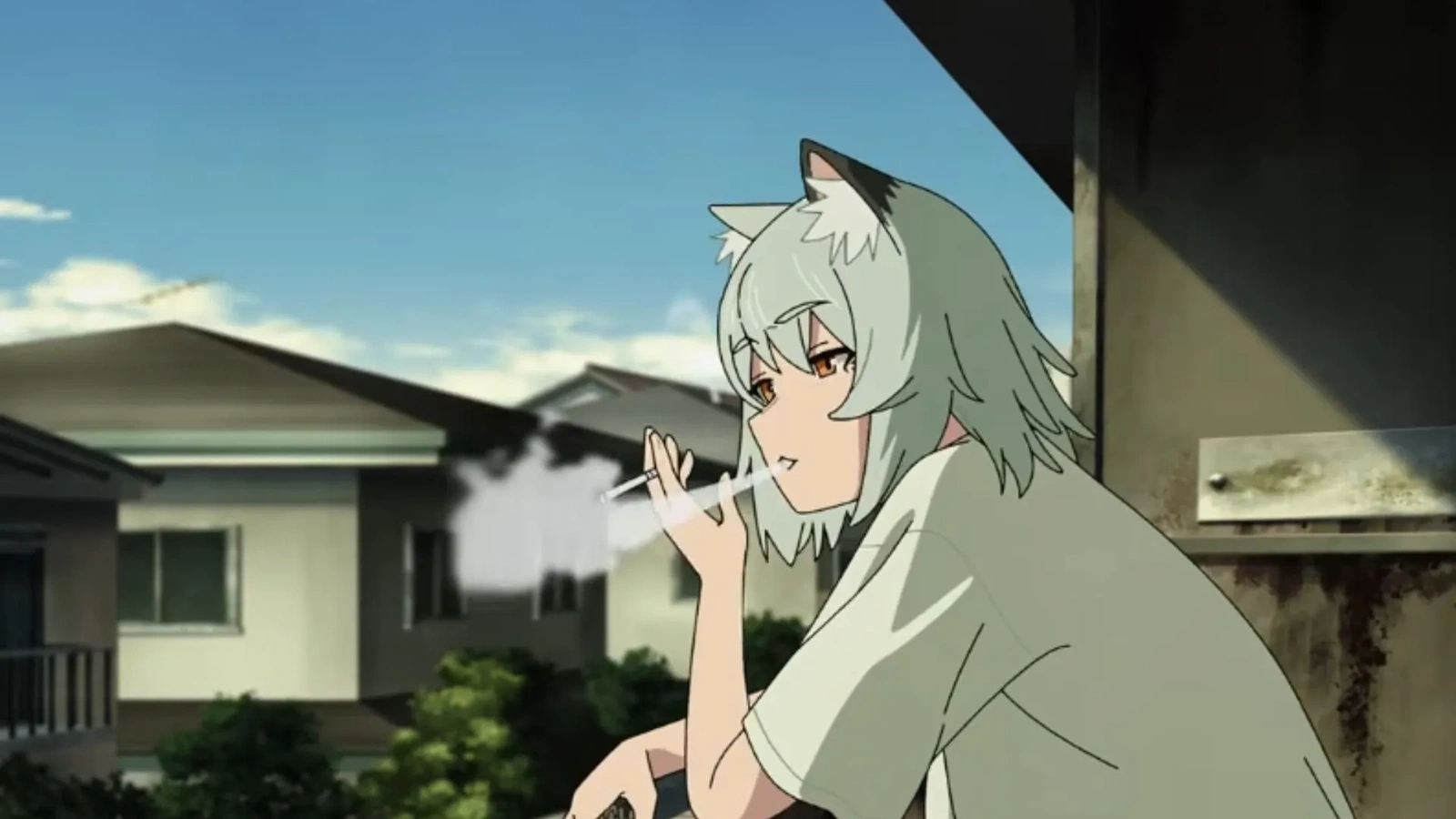 banner image