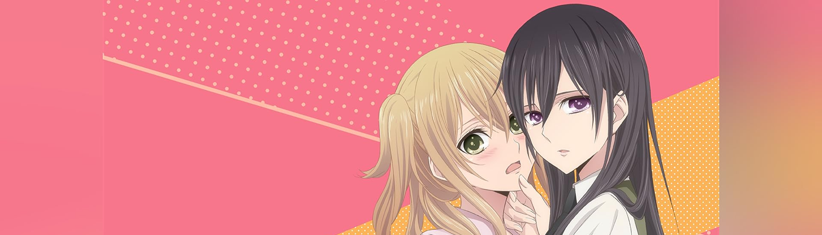 banner image
