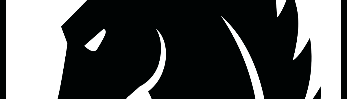 banner image