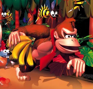 Image for the work Donkey Kong Country