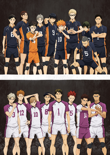 Display picture for ハイキュー!! 烏野高校 VS 白鳥沢学園高校