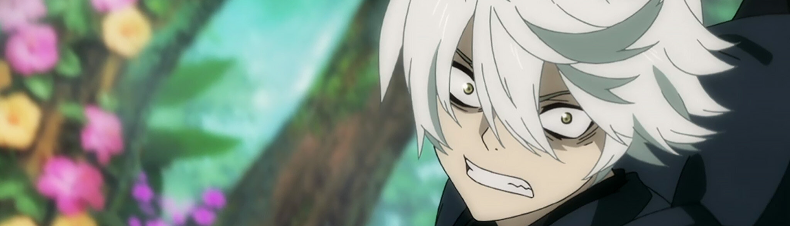 banner image