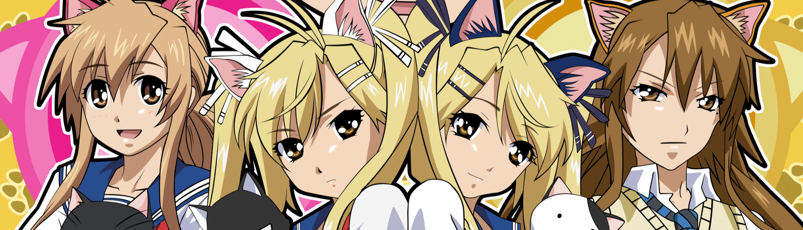 banner image