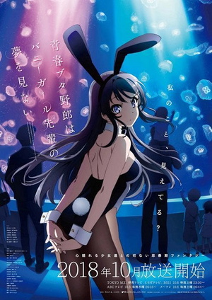 Rascal Does Not Dream of Bunny Girl Senpai