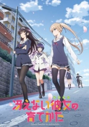 Image for the work Saekano: How to Raise a Boring Girlfriend