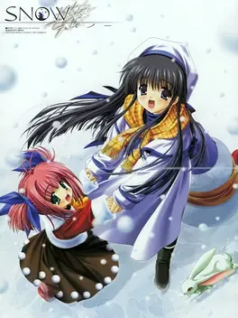Image for the work Snow