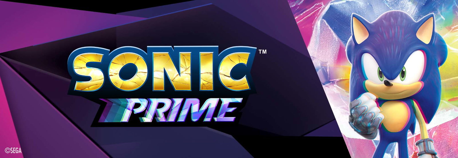 banner image