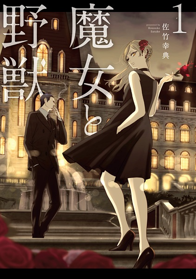 Image for the work The Witch and the Beast