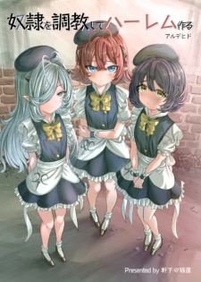 Training Slaves to make a Harem