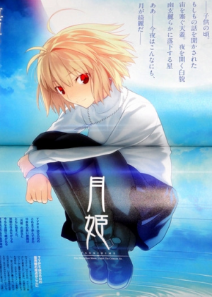 Display picture for Tsukihime