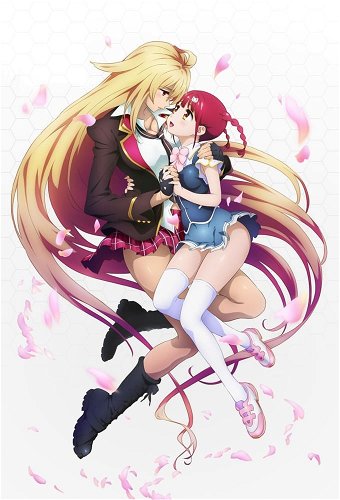 Image for the work Valkyrie Drive: Mermaid
