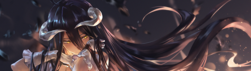 banner image