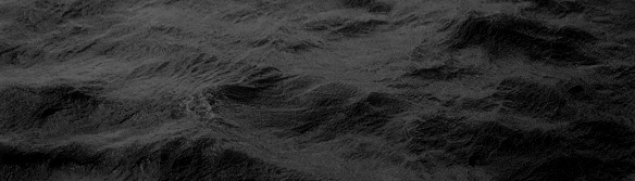 banner image