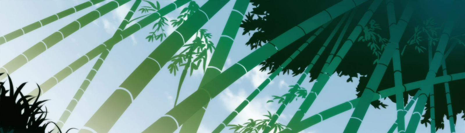 banner image