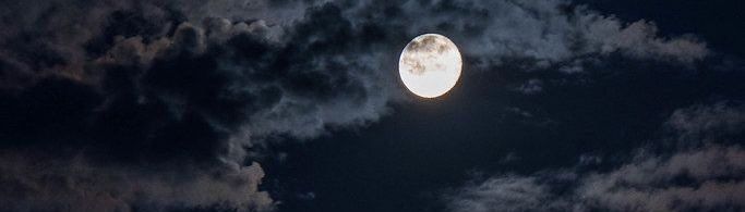 banner image