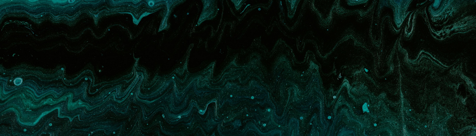 banner image