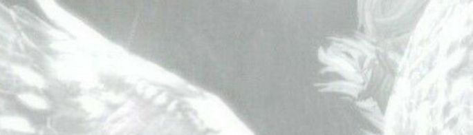 banner image
