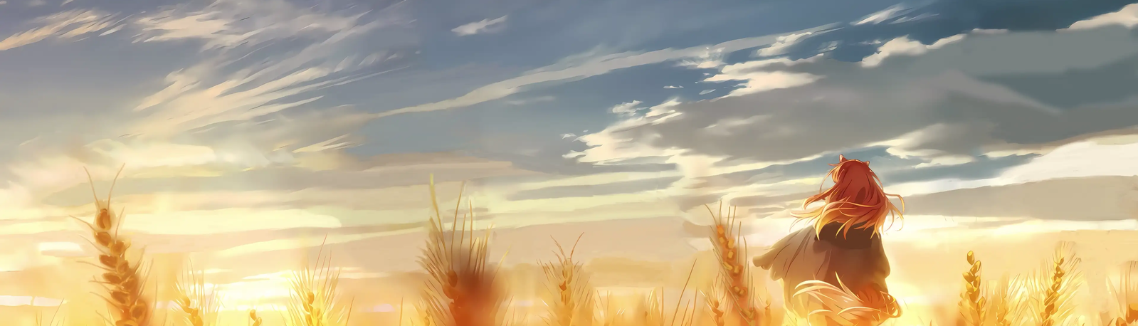 banner image