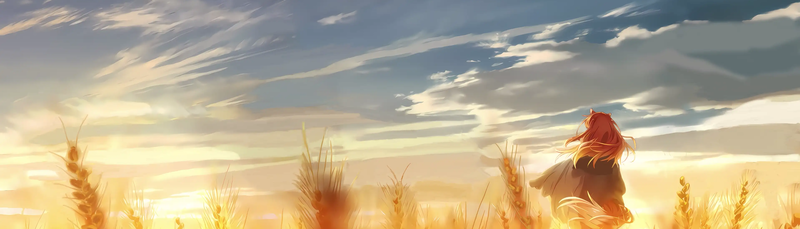 banner image