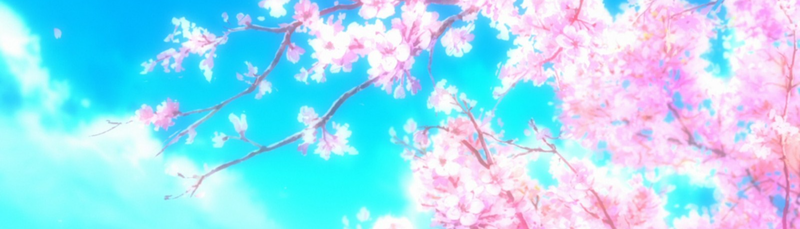 banner image
