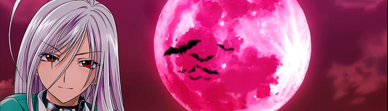 banner image