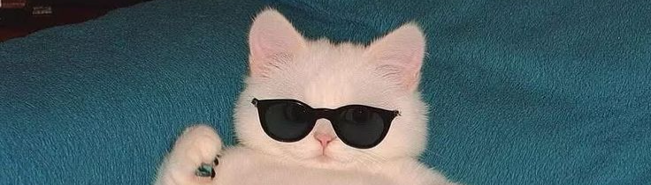 banner image