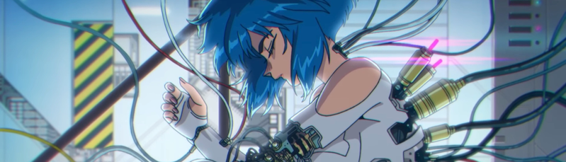 banner image