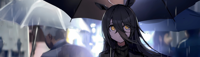 banner image