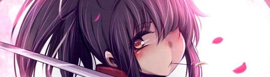 banner image