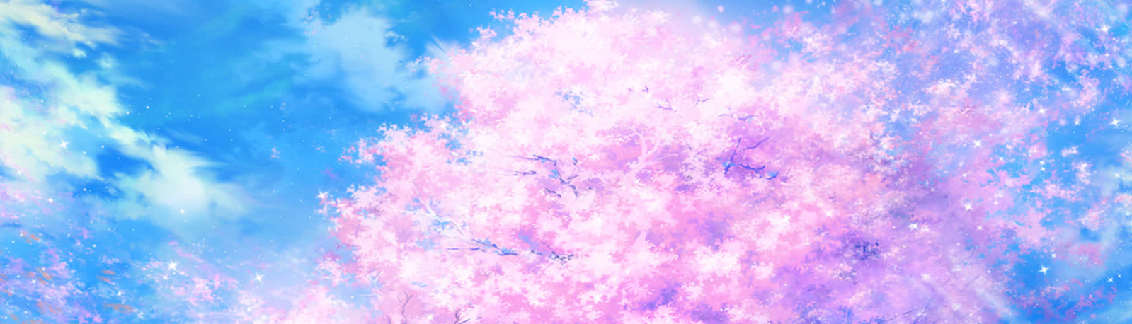 banner image