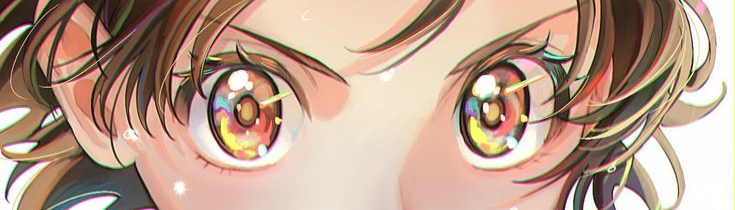 banner image