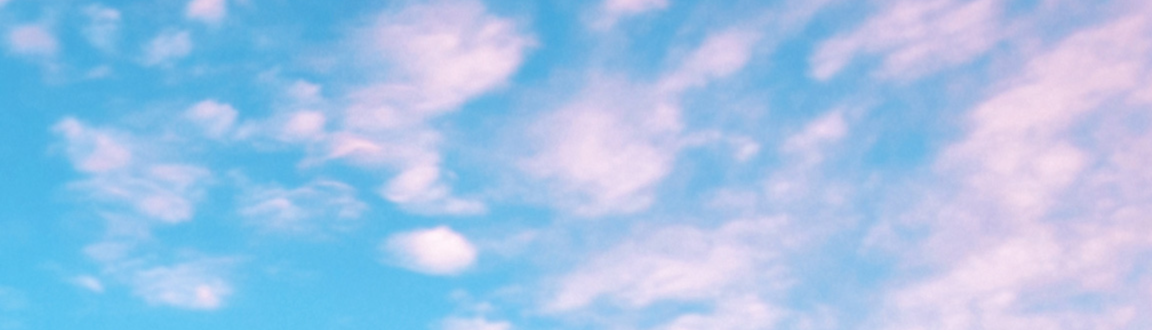 banner image