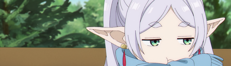 banner image